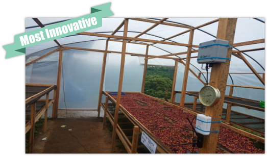 Mass Sanitisation & Screening — Innovation Award