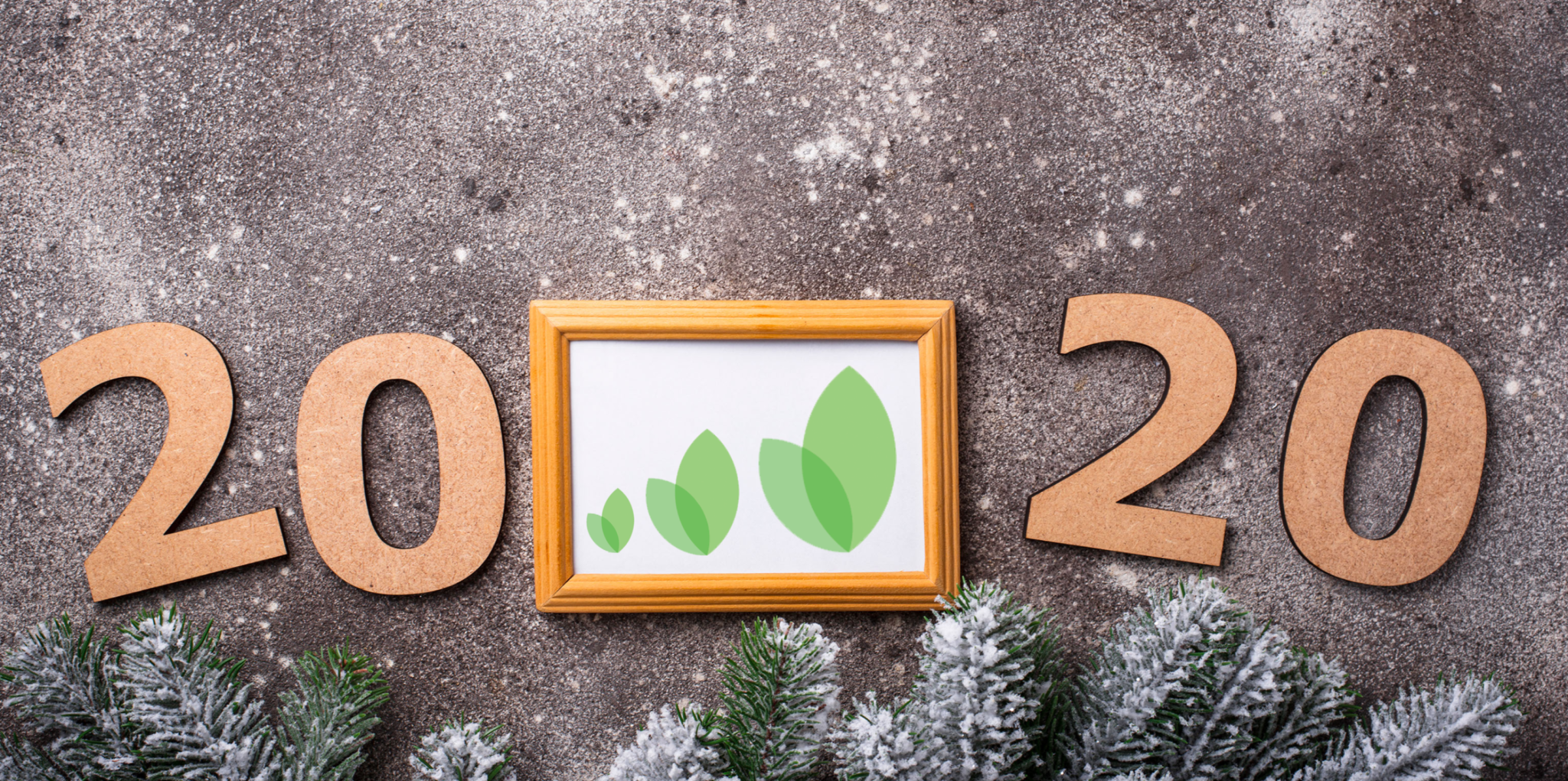 2020, A Year in Review