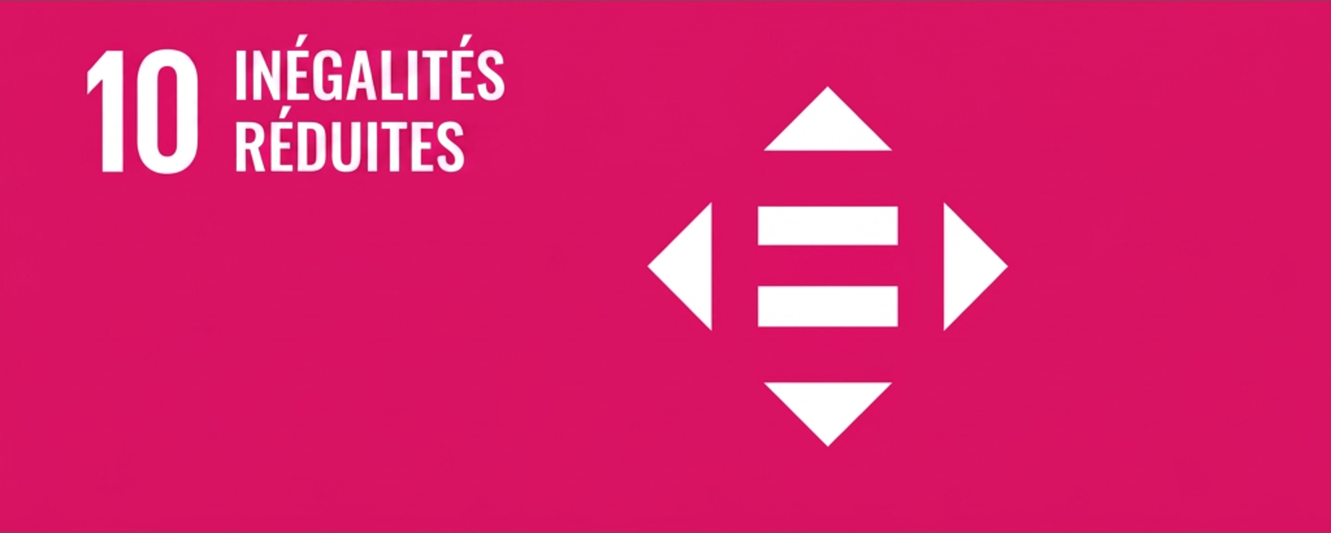 Défi mondial no 10 – Réduction des inégalités