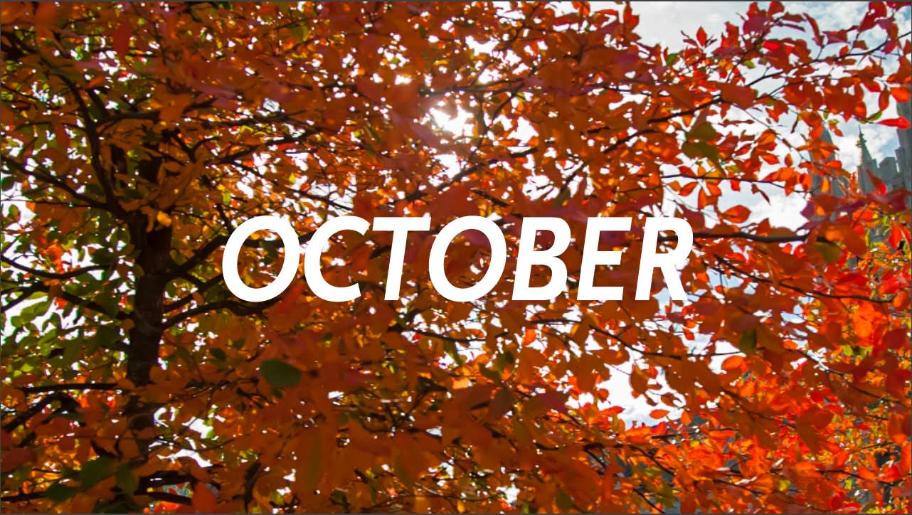 October Innovation Trend Report