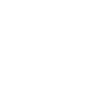 Customer success