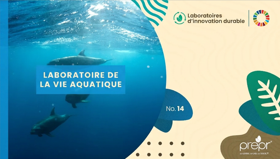 Laboratoire de la vie aquatique