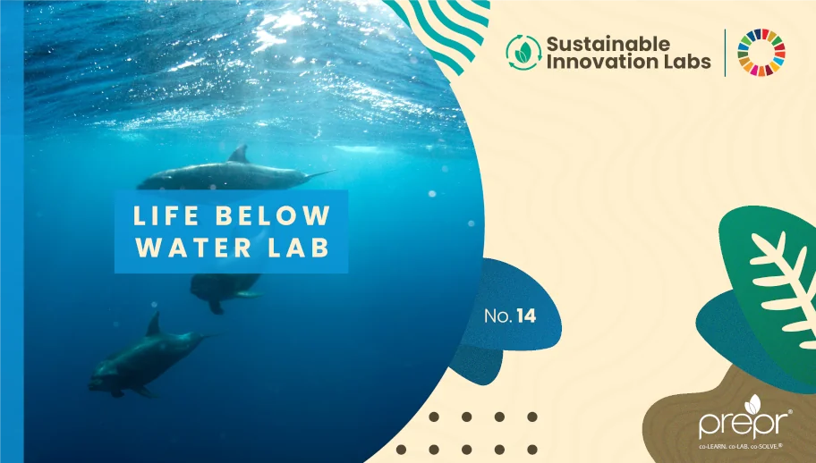 Life Below Water Lab