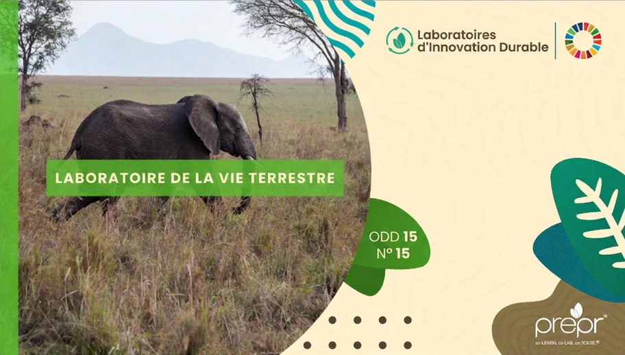Laboratoire de la vie terrestre