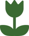 Bloom Plan