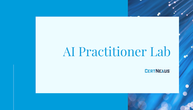 AI Practitioner Lab