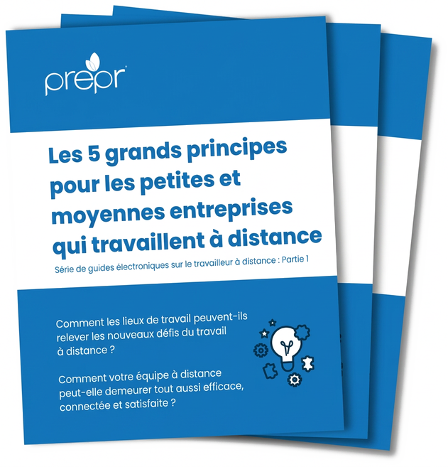 Couverture du livre numérique : les 5 grands principes pour les petites et moyennes entreprises qui travaillent à distance
