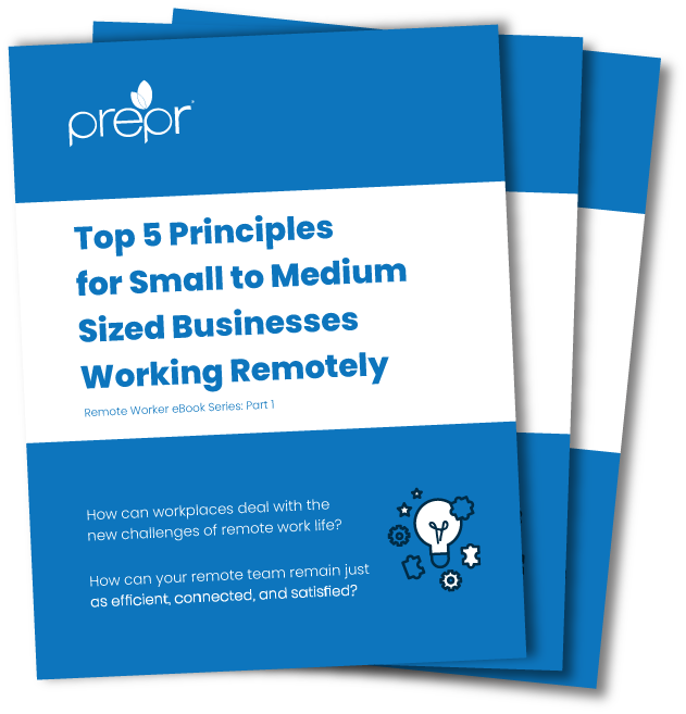 eBook: Top 5 Principles for Small to Medium Sized Businesses Working Remotely eBook cover