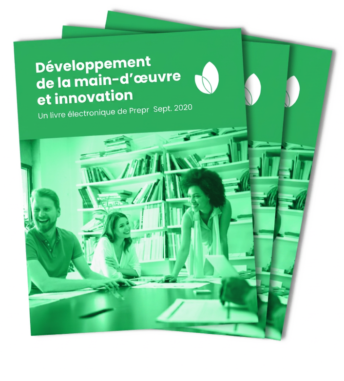 Couverture du livre numérique sur le développement et l’innovation de la main-d’œuvre