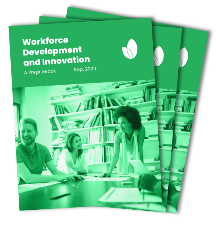 Workforce Development and Innovation eBook cover