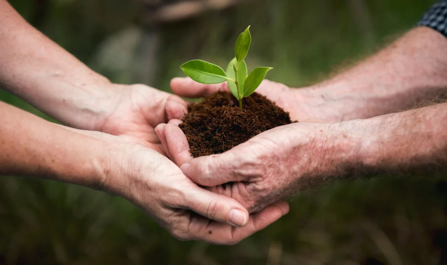 Plant sustainability