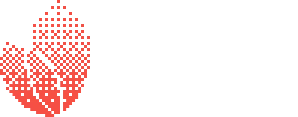 Digital Transformation Program