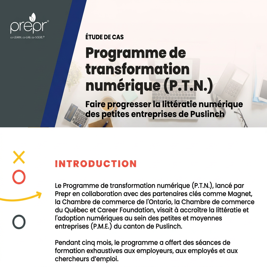 Programme de transformation numérique – infographie sur l’amélioration de la littératie numérique des petites entreprises de Puslinch