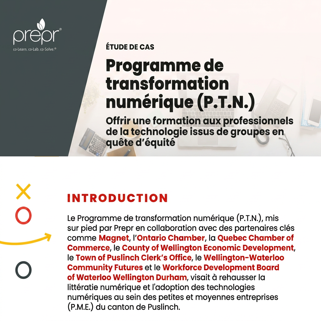 Programme de transformation numérique – infographie sur l’amélioration de la littératie numérique des petites entreprises de Puslinch