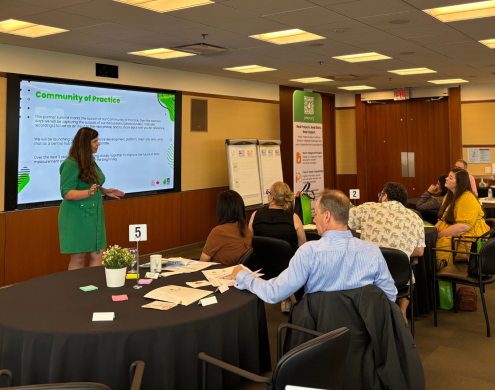IMB collaboration workshop