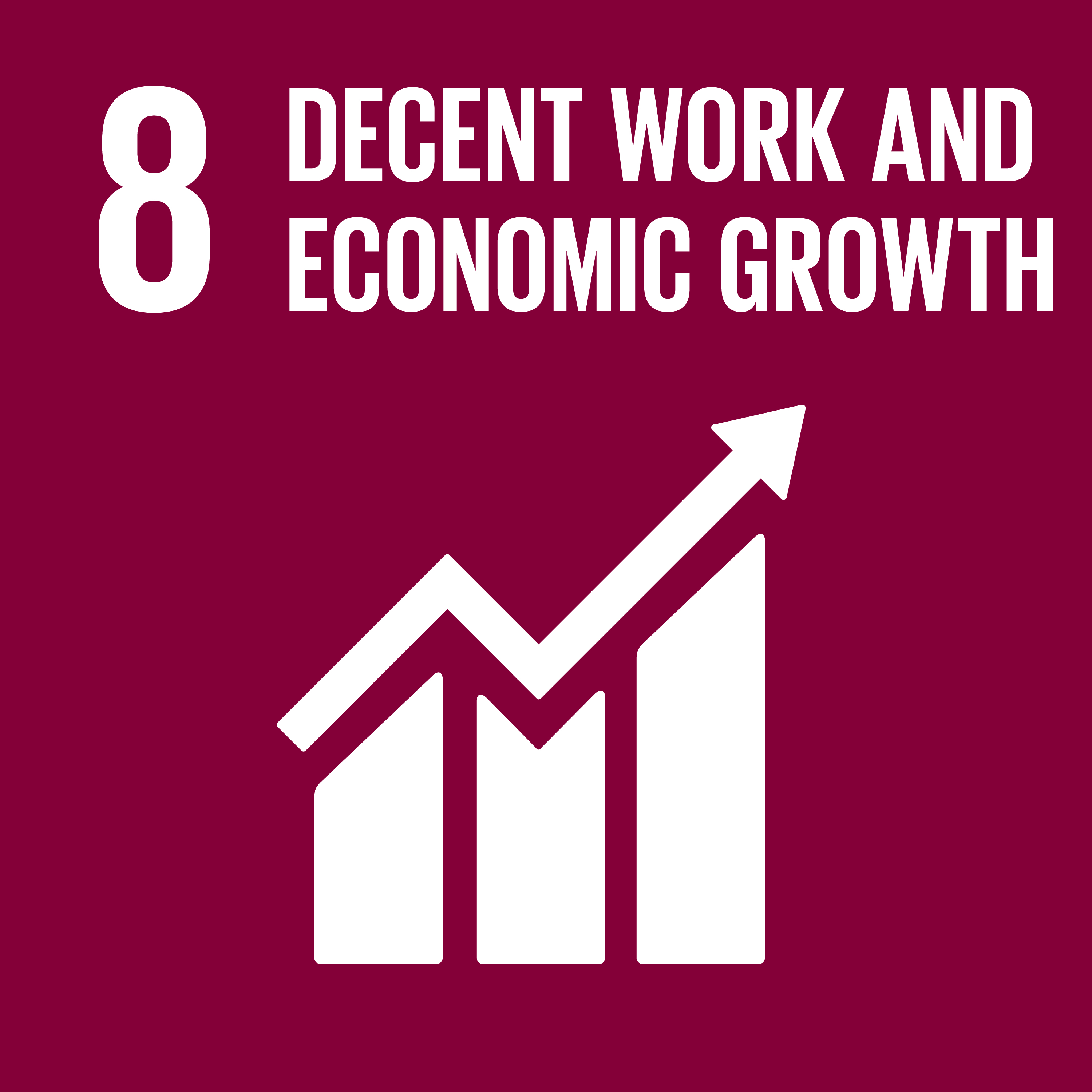 UN Sustainable Development Goal (SDG) 8: Decent Work and Economic Growth.
