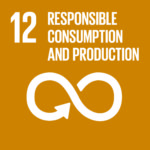 UN Sustainable Development Goal (SDG) 12: Responsible Consumption and Production.