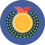 Icon: medal.