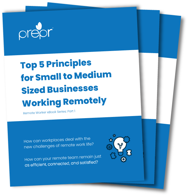 Cover photo: Top 5 Principle for Small to Medium Sized Businesses Working Remotely.
