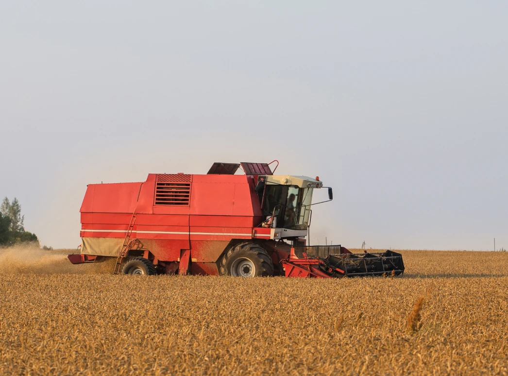 Photo: harvester in wheat field.