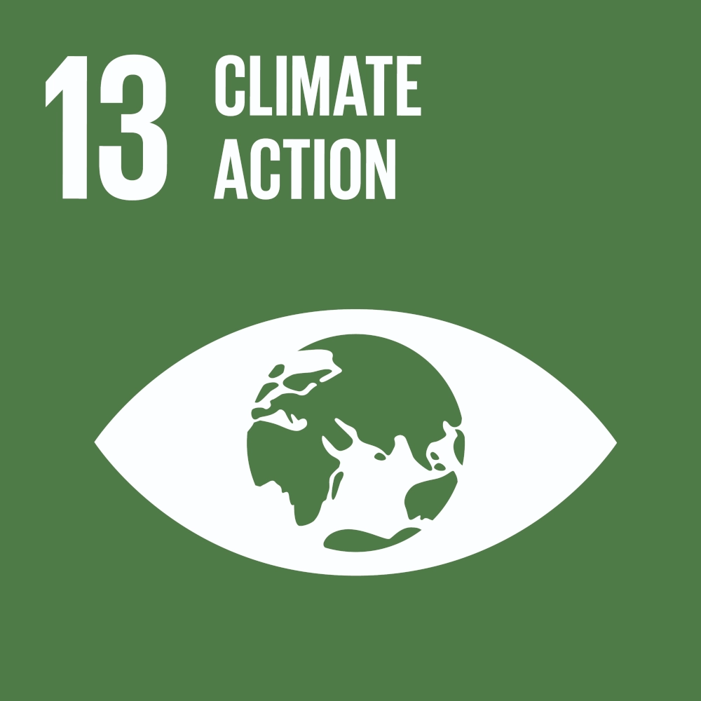 UN Sustainable Development Goal (SDG) 13: Climate Action.