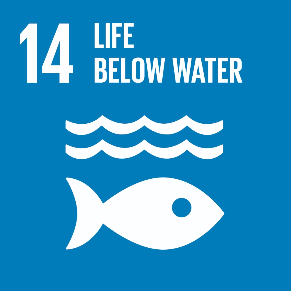 UN Sustainable Development Goal (SDG) 14: Life Below Water.